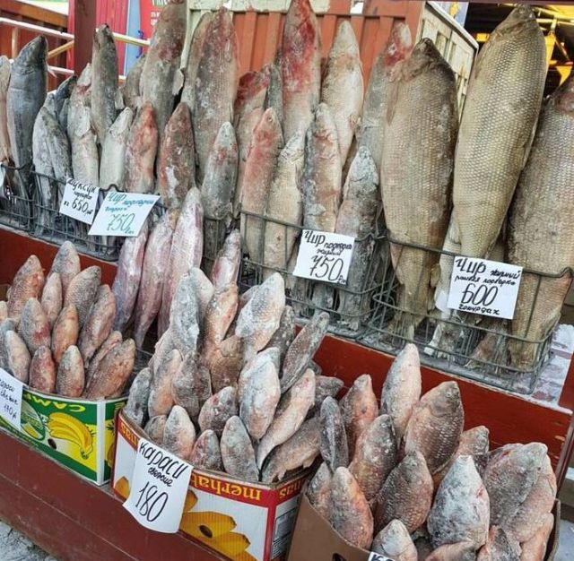 Цены на рыбу в Якутске