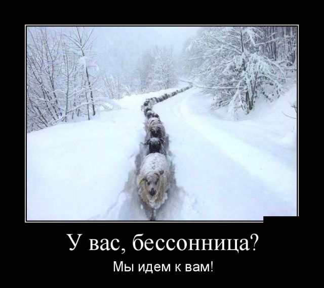Демотиваторы