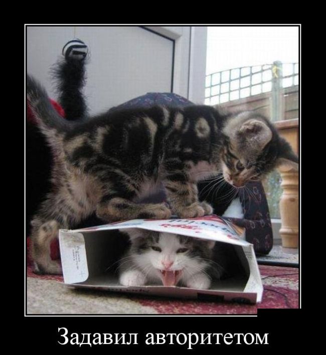 Демотиваторы