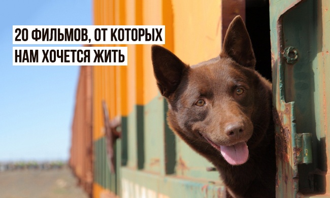 20 фильмов, от которых нам хочется жить 20 фильмов, от которых нам хочется жить