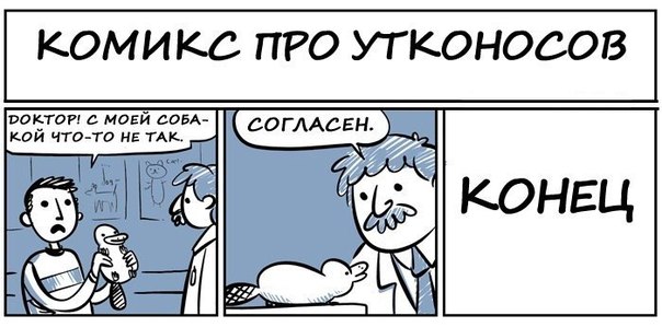 Знатные баяны. 2013 год