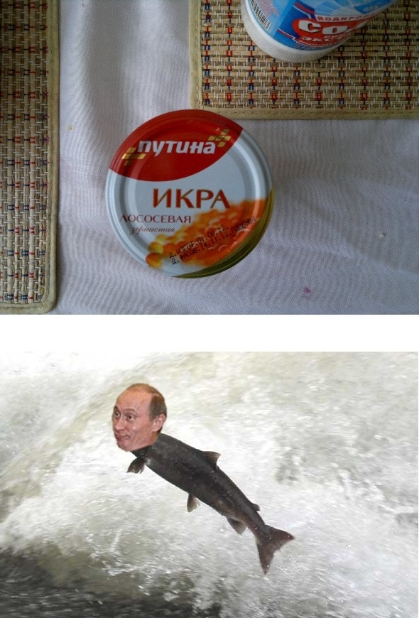 Знатные баяны. 2013 год