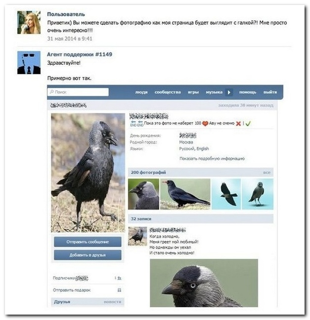 Смешные комментарии из социальных сетей