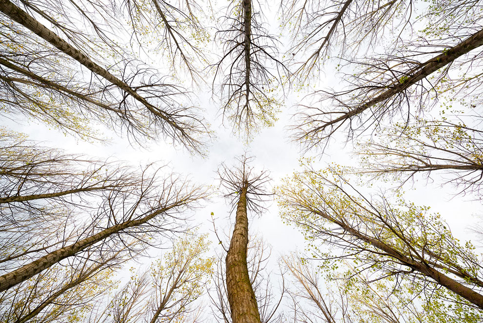 Конкурс Sony World Photography Awards 2013