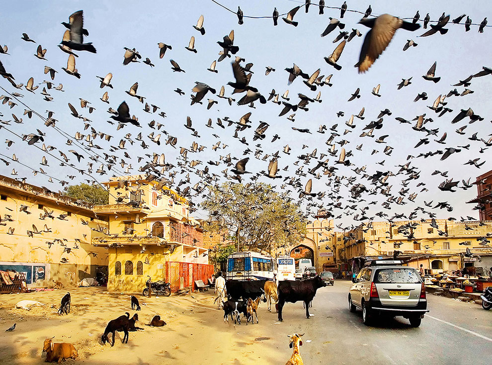 Конкурс Sony World Photography Awards 2013