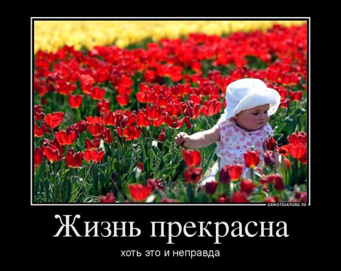 Демотиваторы