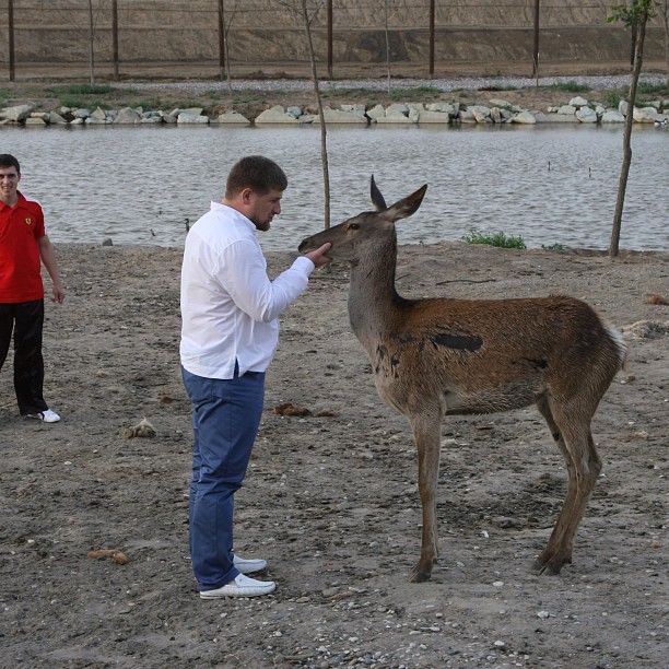 25 лучших фото из Инстаграма Рамзана Кадырова (26 фото)