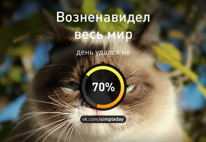 Когда день удался... Часть 2 (20 картинок)