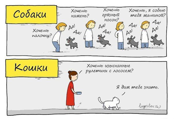 Прикольные картинки (61 фото)