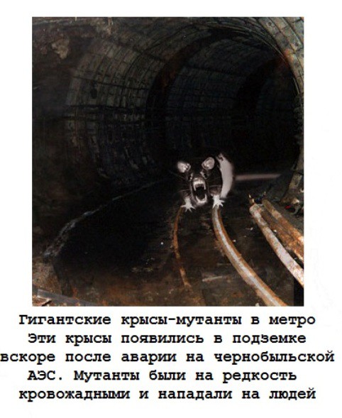 Слухи и ужасы времён СССР – детские и взрослые