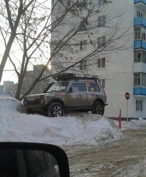 Прикольные картинки