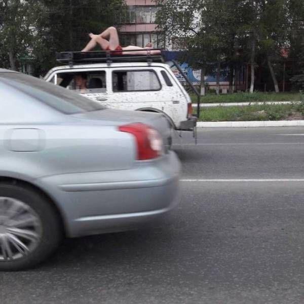 Прикольные картинки