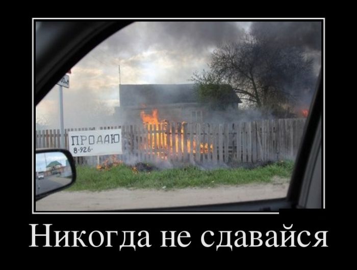 Демотиваторы