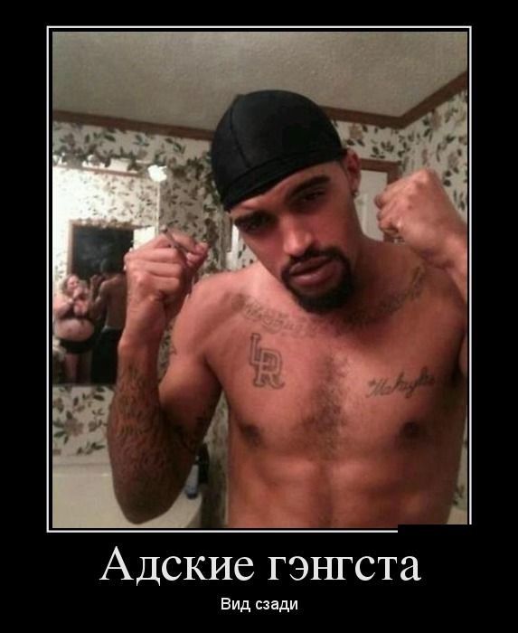 Демотиваторы