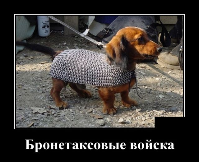 Демотиваторы