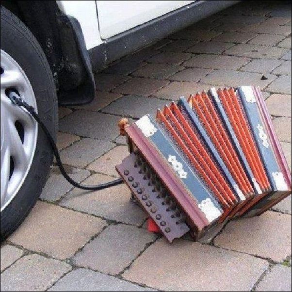 Прикольные картинки