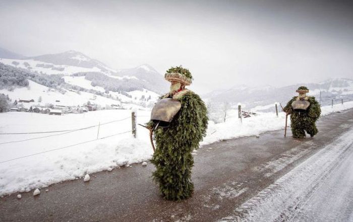 Прикольные картинки