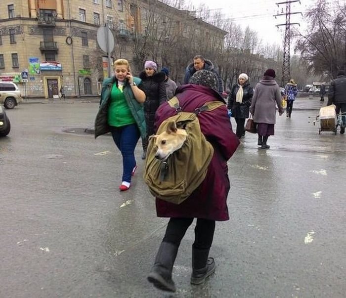 Фото, которые возможно было сделать только в России