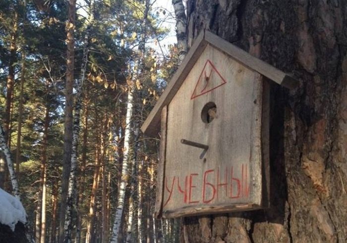 Прикольные картинки