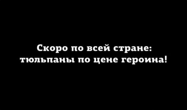 Выжить любой ценой: мужчины, женщины и 8-е марта