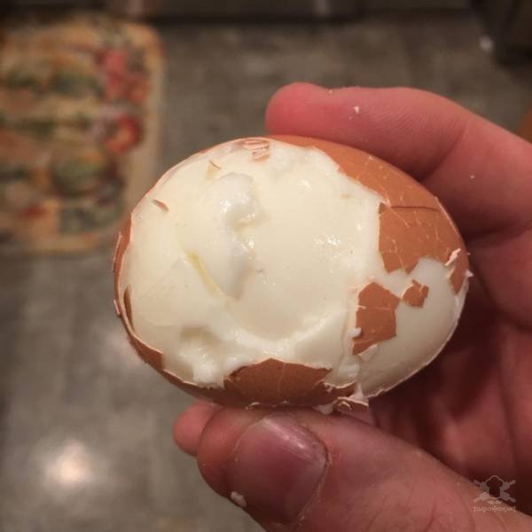 Вещи, которые многих раздражают