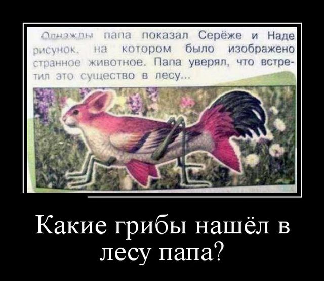 Демотиваторы