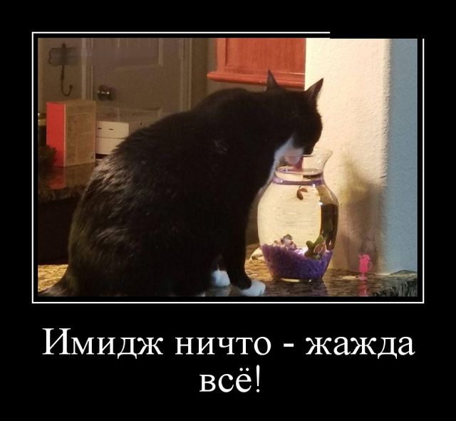 Демотиваторы