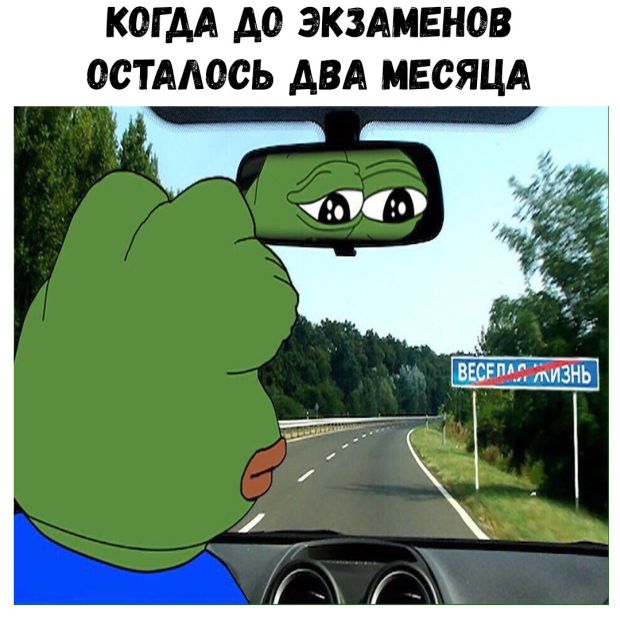 Прикольные картинки