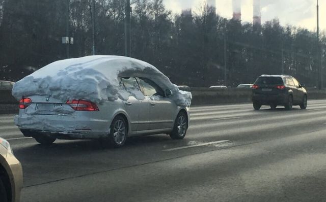 Прикольные картинки