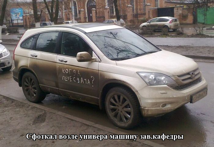 Порция картинок