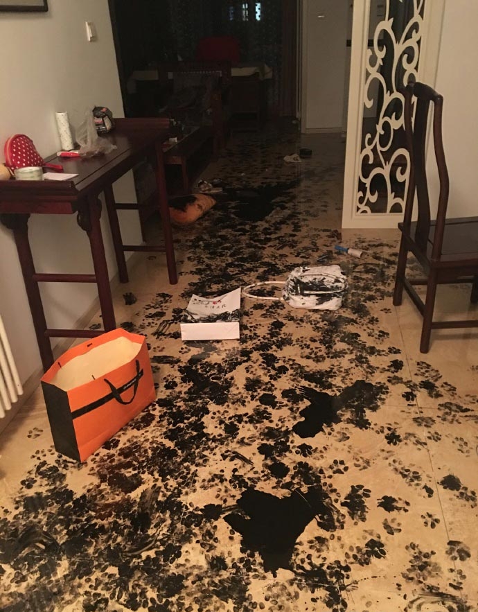 Семья оставила собаку одну дома на 3 часа, но та умудрилась превратить квартиру в настоящий ад