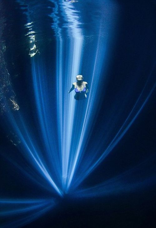 Лучшие работы конкурса подводных фото