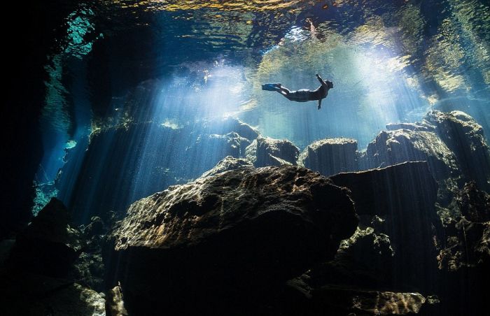 Лучшие работы конкурса подводных фото