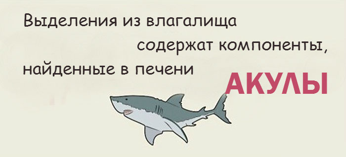 Интересные факты о женской интимной зоне