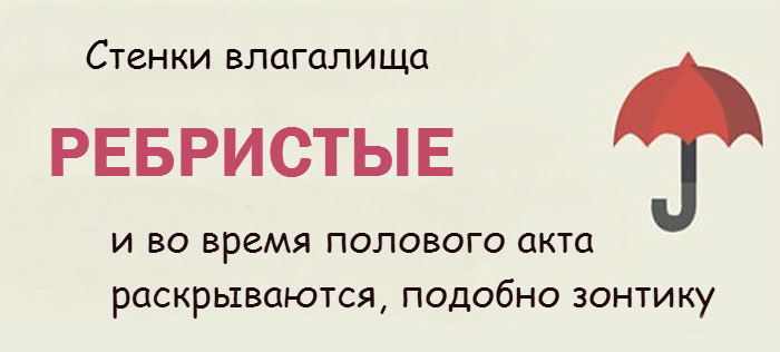 Интересные факты о женской интимной зоне