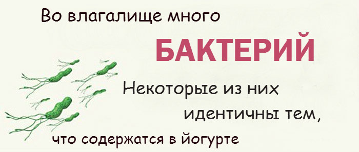 Интересные факты о женской интимной зоне