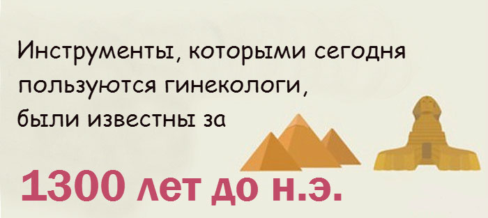 Интересные факты о женской интимной зоне