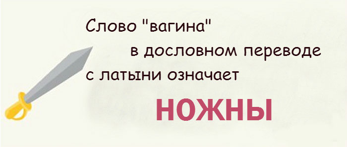 Интересные факты о женской интимной зоне