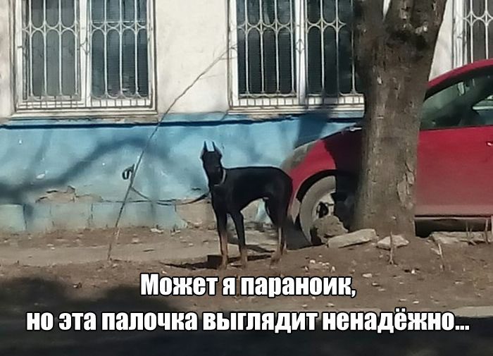 Прикольные картинки