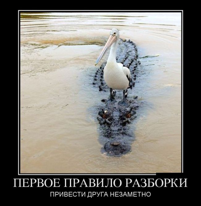 Демотиваторы