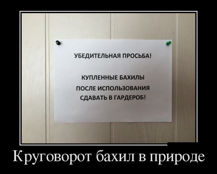 Демотиваторы