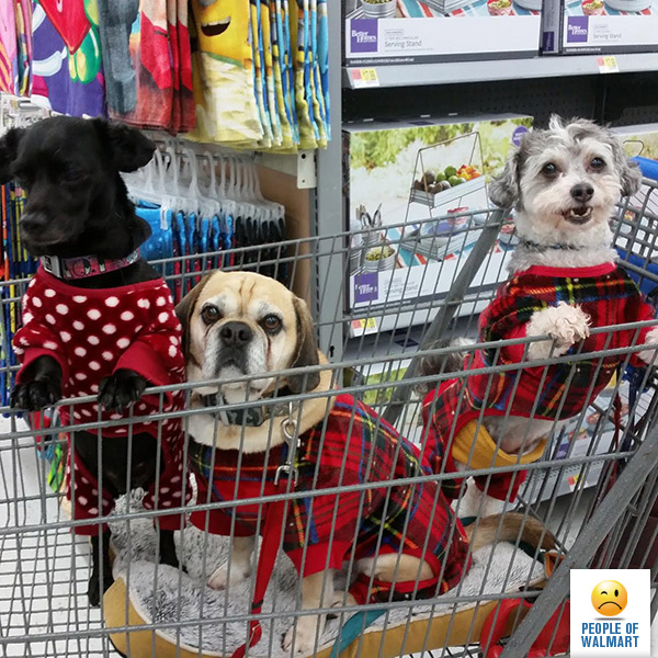 Экстравагантные покупатели Walmart