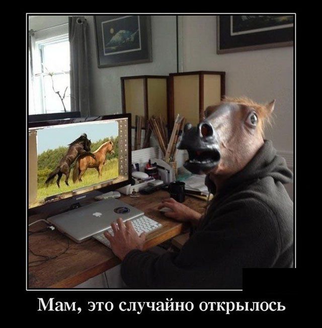 Демотиваторы