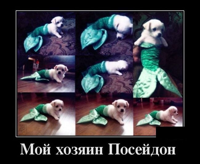 Демотиваторы