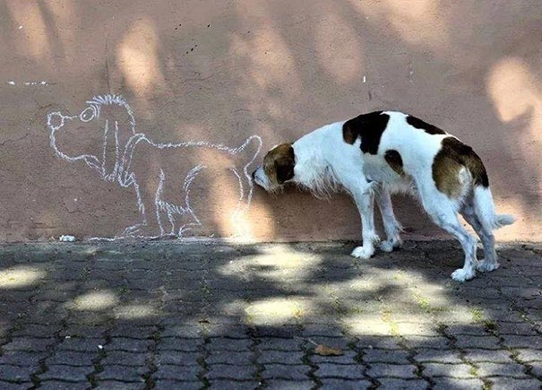 30 совершенных фотографий, сделанных в нужный момент