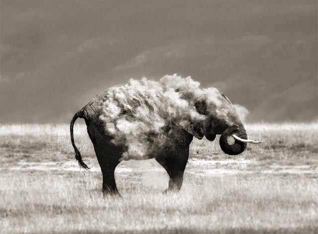 30 совершенных фотографий, сделанных в нужный момент
