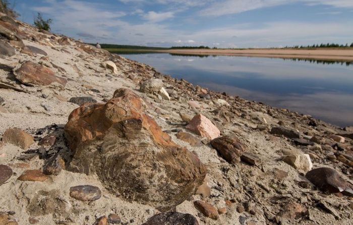 Экскурсия по попигайскому метеоритному кратеру Экскурсия по попигайскому метеоритному кратеру