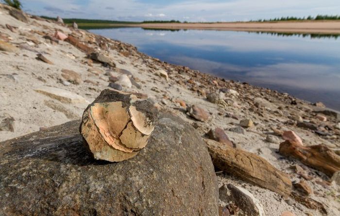 Экскурсия по попигайскому метеоритному кратеру Экскурсия по попигайскому метеоритному кратеру