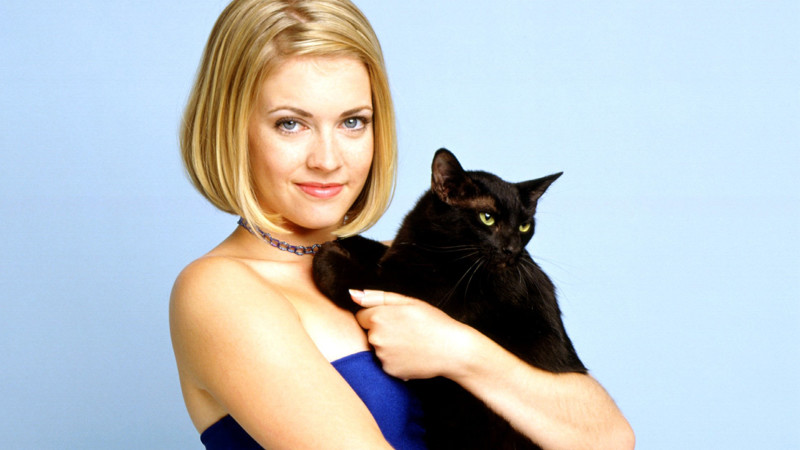 Любимые сериалы 90-х – 2000-х годов