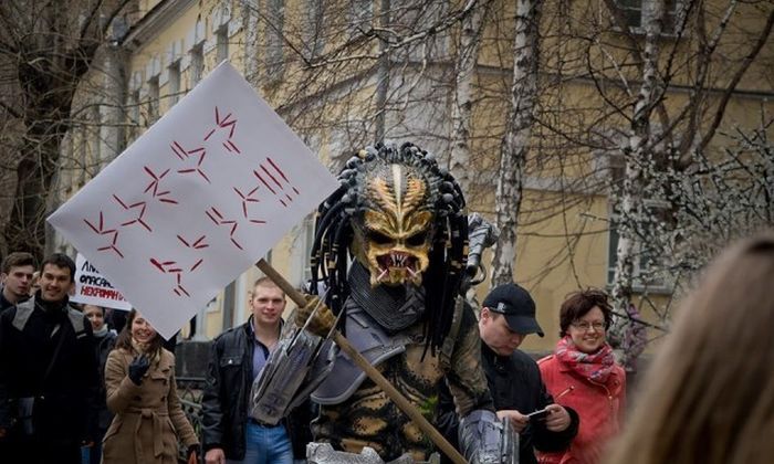 Прикольные картинки